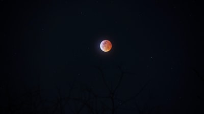 The full moon at night
